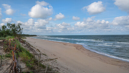 Sand dunes. Kurshskaya spit. Kaliningrad region