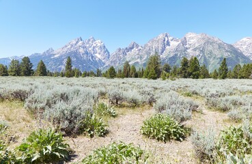 The stunning scenery of Wyoming's Grand Teton National Park