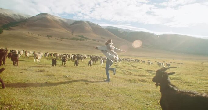 Slow Motion. Young woman wearing a hat and poncho running with open arms, embracing a flock of sheep grazing in a vast, sunlit Mongolian steppe
