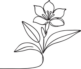 Elegant Tuberose Flower Line Drawing on White Background