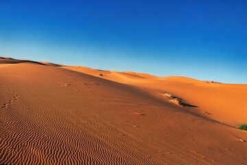 Sahara Desert, Morocco