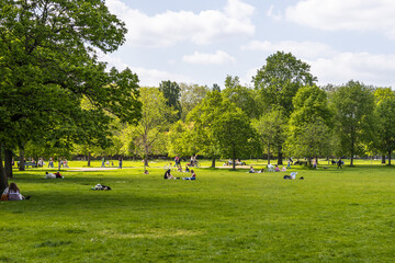 Relaxing Day in the Park with People Enjoying the Green Grass and Trees