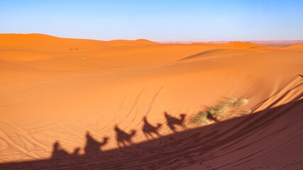 Sahara Desert, Morocco