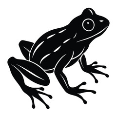 Frog silhouette on white background