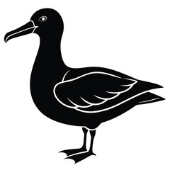 Duck silhouette on white background