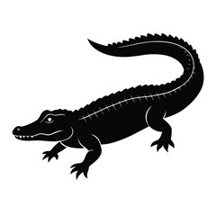 Crocodile silhouette on white background