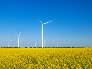 Wind Turbine in a Yellow Flower Field of Rapeseed. Wind Mill Park Generating Electricity. Green Environment