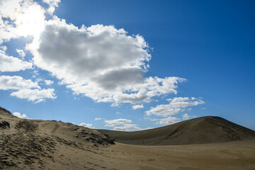 鳥取県の観光スポットである鳥取砂丘の雄大な景観