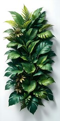 Lush green tropical leaves, including monstera and palm fronds, arranged vertically against a plain white background in a layered design.