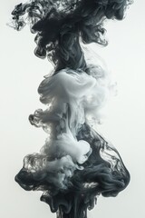 Fototapeta premium Abstract Black and White Ink Cloud Mixing in Water: Ethereal Swirls and Soft Textures