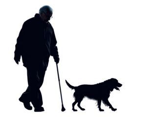 Isolated Silhouette of Senior Man Walking with Dog