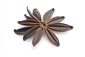Elegant caraway seeds arranged beautifully on a clean white surface, capturing their rich texture and unique shape in sharp detail
