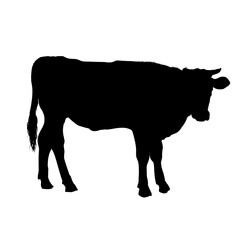 silhouette of a cow side view - vector illustration