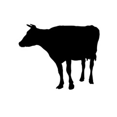 silhouette of a cow side view - vector illustration