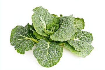 Cabbage with vibrant green leaves showcasing natural textures on a clean white background in high-quality studio lighting