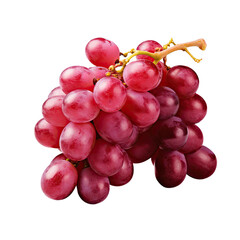 Fototapeta premium a fresh sprig of red grapes isolated on transparent background