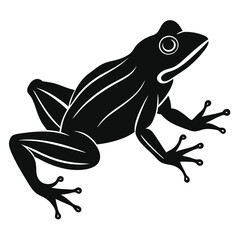 Frog silhouette on white background