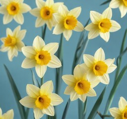 Close-up vibrant daffodils on pastel blue backdrop, blooms, yellow, vintage, nostalgic
