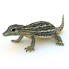 Obraz premium Striped Lizard on White Background.