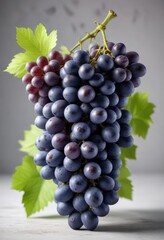 Fototapeta premium Fresh blue grapes bunch isolated on a white background with natural light sources, fruit photography, natural light