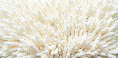 Fototapeta premium Evenly-toned, slightly napped white carpet texture, close up, macro, design