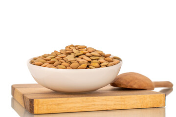 Lentil seeds in a white ceramic plate, close-up, isolated on a white background.