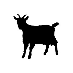 Goat icon, silhouette on white background.ai