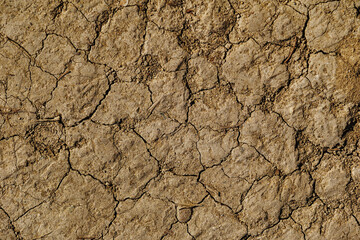 Dry earth background. Brown dryland texture