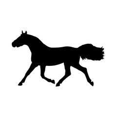 Horse Running, vector illustration. silhouette isolated on a white background stock illustration.ai