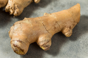 Fototapeta premium Raw Organic Ginger Root Spice