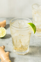 Healthy Refreshing Bubbly Ginger Ale