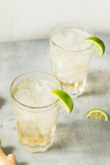 Healthy Refreshing Bubbly Ginger Ale