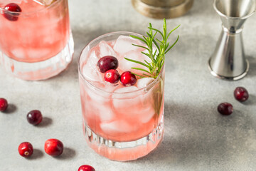 Boozy Cold Cranberry Christmas Punch Cocktail