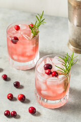Boozy Cold Cranberry Christmas Punch Cocktail