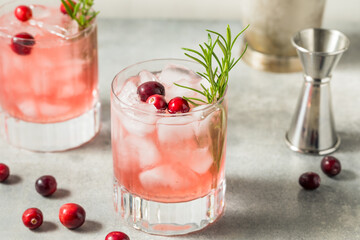 Boozy Cold Cranberry Christmas Punch Cocktail