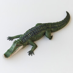 Naklejka premium Green alligator, detailed texture, lying down.