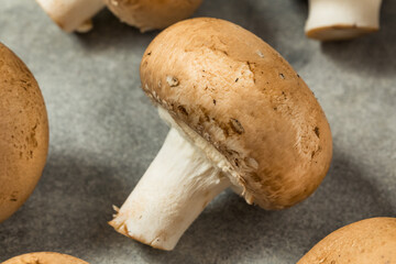 Raw Organic Cremini Baby Bella Mushrooms
