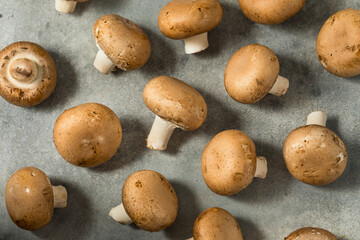 Raw Organic Cremini Baby Bella Mushrooms
