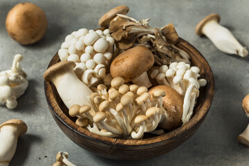 Organic Raw Assorted Gourmet Mushrooms