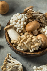 Organic Raw Assorted Gourmet Mushrooms