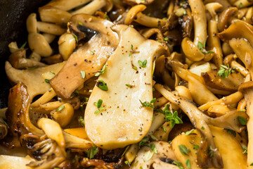 Homemade Roasted Sauteed Gourmet Mushrooms