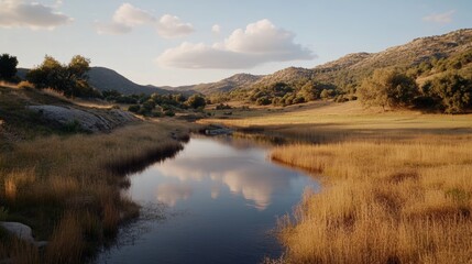 Serene landscape with a tranquil stream reflecting fluffy clouds under clear skies, framed by gentle hills and golden grass.