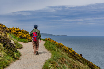Views while walking along the cliff of Howth Head Dublin North.Howth, Dublin, Ireland