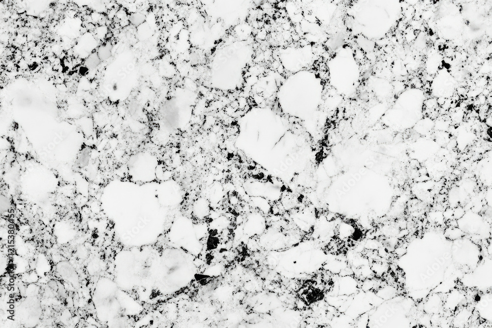 Poster Black and white marble texture with intricate veining patterns.