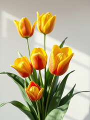 Obraz premium Elegant yellow and red tulips surrounded by greenery, red, flora, tulips