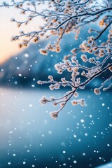 Trees covered by heavy snow in winter forest