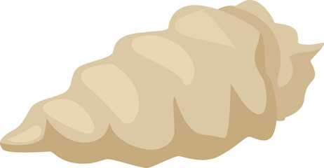 Simple beige seashell isolated on white background representing marine life and beach holidays