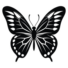 Butterfly vector on white background