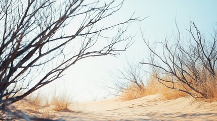 Sparse, windswept branches rise from golden dunes against a pale sky, capturing the essence of a quiet desert landscape.