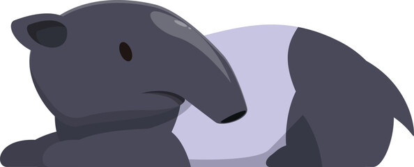 Adorable malayan tapir lying down, showcasing its unique black and white markings, resting peacefully